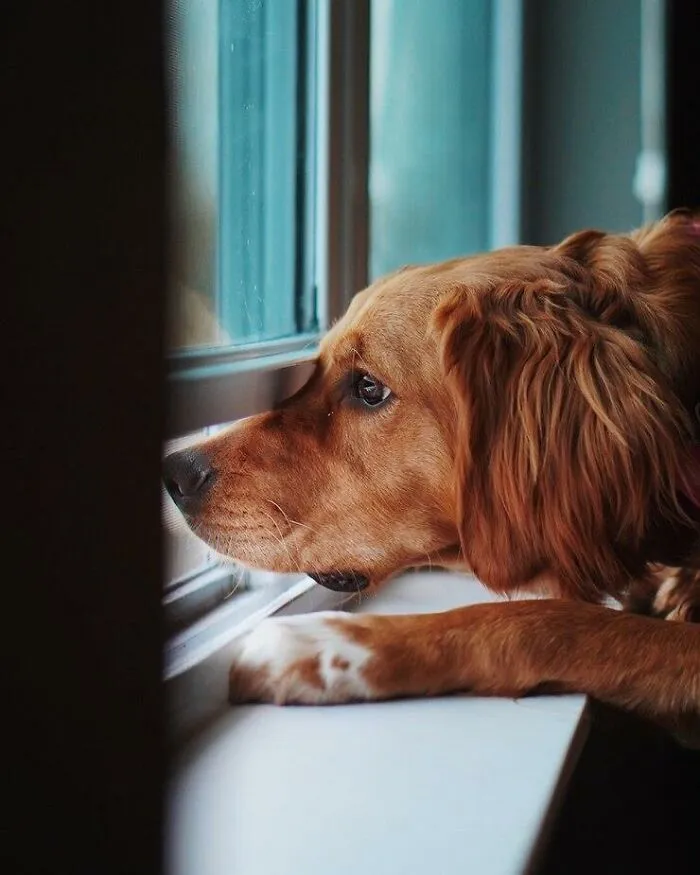 "Man, I Freaking Hate People": 35 Habits That Make Others Lose Their Cool