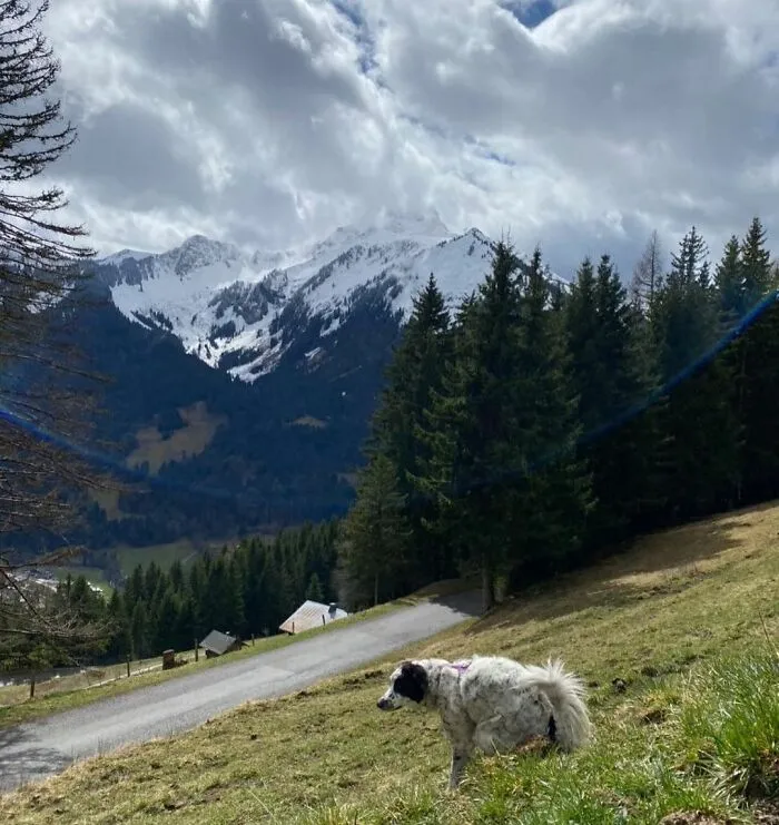 Mia In La Chapelle-D’abondance On The French Alps
