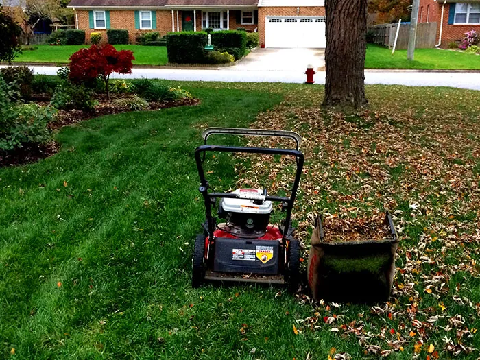 30 Of The Dumbest Things People Witnessed Geniuses Do