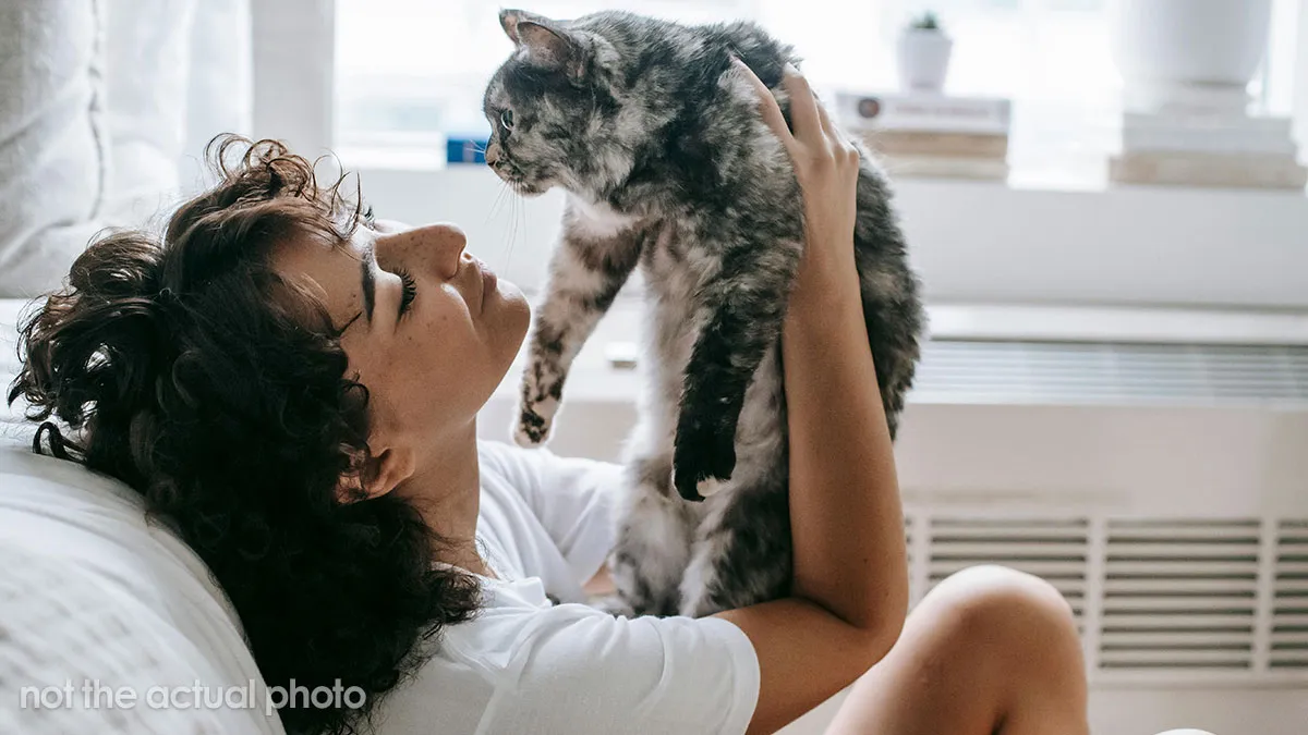 Mom Wants To Force Neighbor to Give Her Cat For Kid's B-Day Party Six Ways To Sunday, Drama Ensues