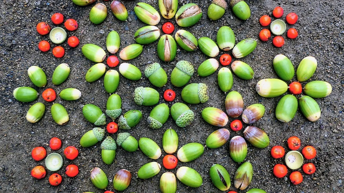I Create Fleeting Art With Nature’s Gifts (10 Pics)