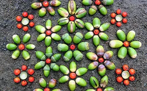 I Create Fleeting Art With Nature’s Gifts (10 Pics)