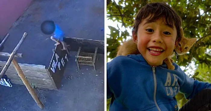 "Tragic Story": After 9YO Brutally Attacked 23 Animals, Psychopathy Expert Debunks Myths