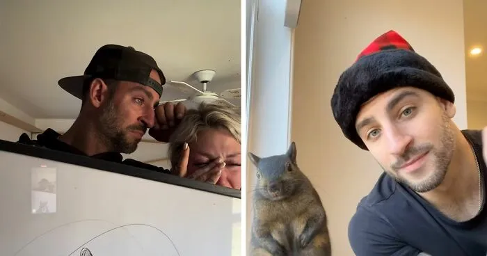 "Feels So Unjust": Fans Devastated After Famous Squirrel Is Seized And Euthanized By Authorities