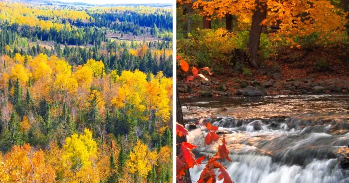 I Photographed Autumn To Show How Shortlived It Is