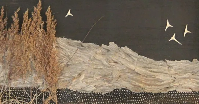 I Create Strange Art Using Recycled Materials, Including Dead Things