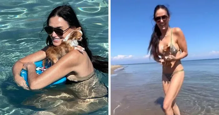 "Aging Like Fine Wine": Demi Moore, 62, Flaunts Beach Body While Wishing Her Dog A Happy Birthday