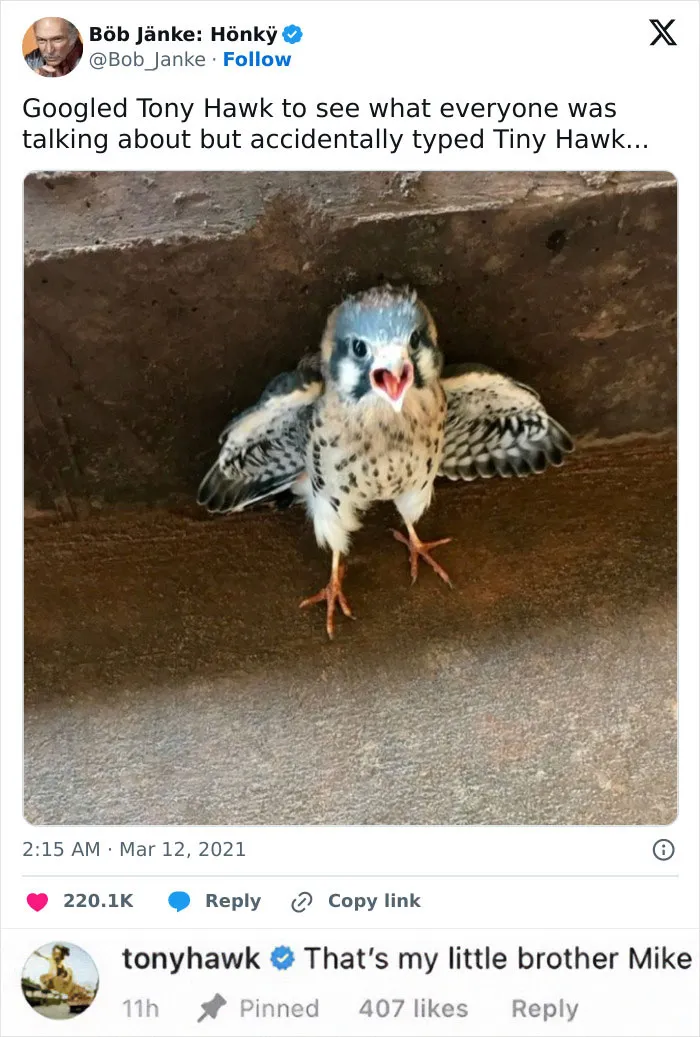 This IG Account Collects The Best Tumblr Posts And Here Are 50 Of The Funniest Ones