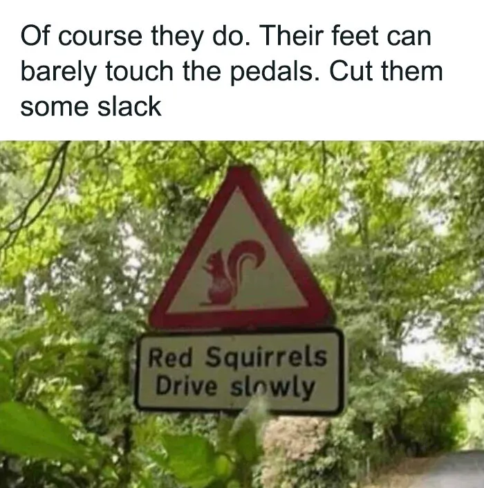 50 Hilarious Memes That Display British Humor At Its Finest