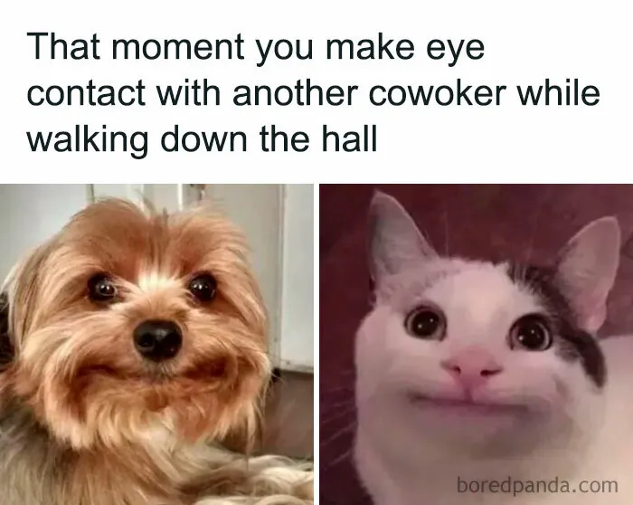 50 Painfully Spot-On Memes To Enjoy On Your 3rd Coffee Break
