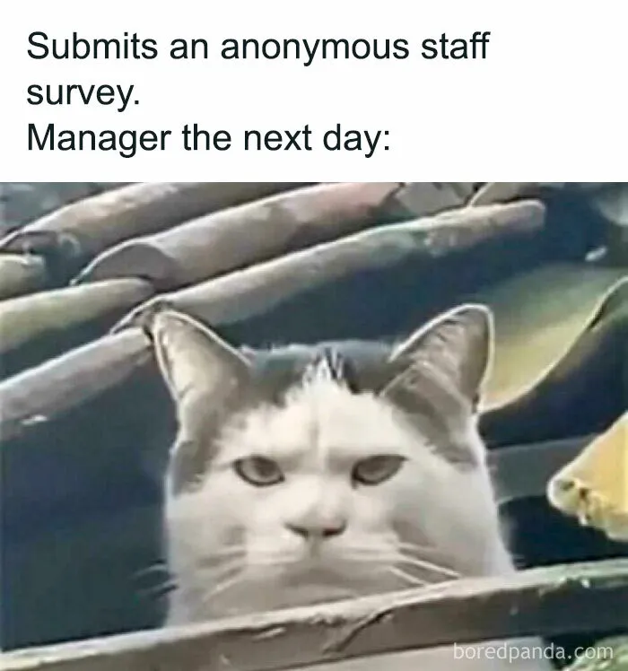 50 Painfully Spot-On Memes To Enjoy On Your 3rd Coffee Break