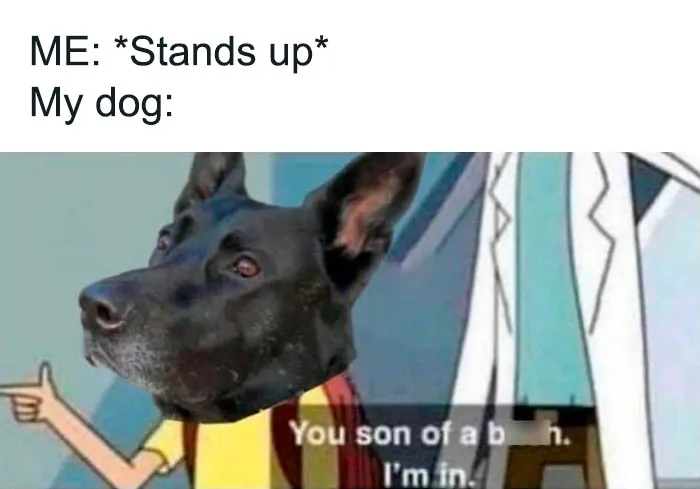 50 Funny Memes For When You’re Too Tired To Do Anything Else
