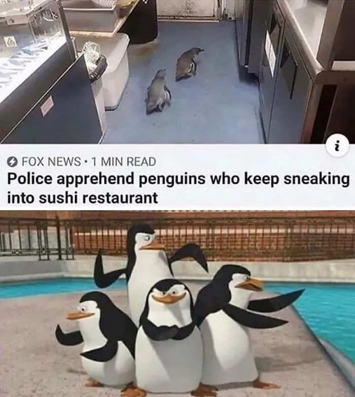 50 Times Birds Were Perfect Material For Memes