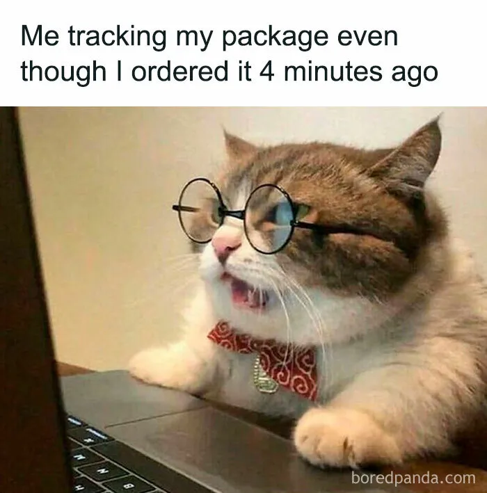 30 Of The Funniest Black Friday Memes To Check Out After You’re Done With Your Shopping Spree