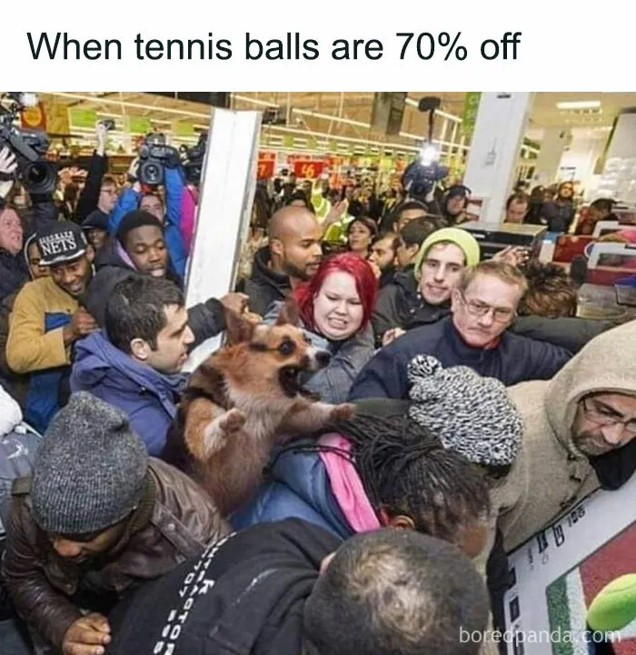 30 Of The Funniest Black Friday Memes To Check Out After You’re Done With Your Shopping Spree