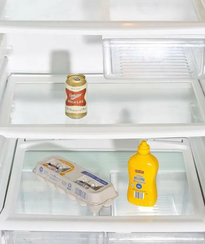 Dude Fridges Be Like
