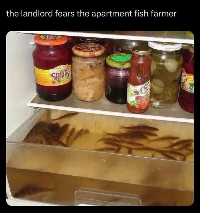 ‘Dude Fridges’: 50 Hilariously Unhinged Fridges That Define ‘Chaotic’