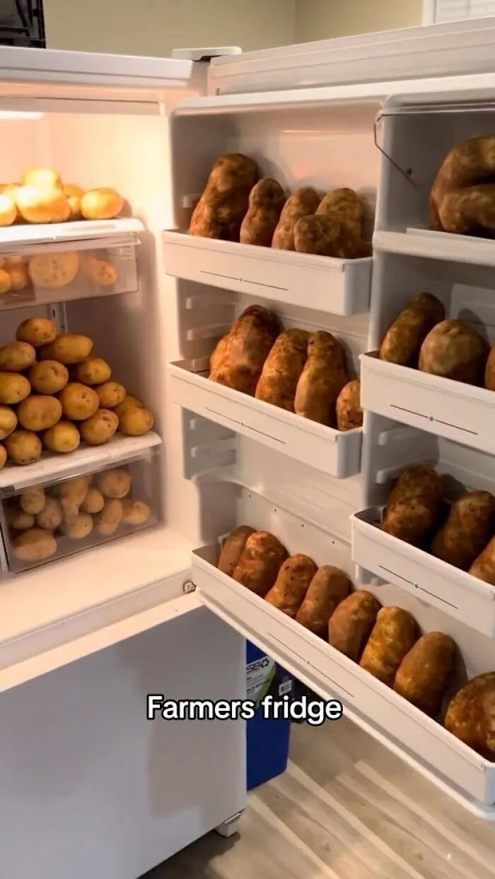 ‘Dude Fridges’: 50 Hilariously Unhinged Fridges That Define ‘Chaotic’