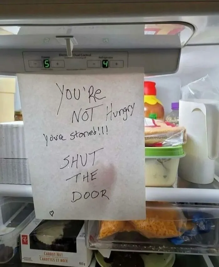The Fridge Called Me A Stoner. I Told It To Chill