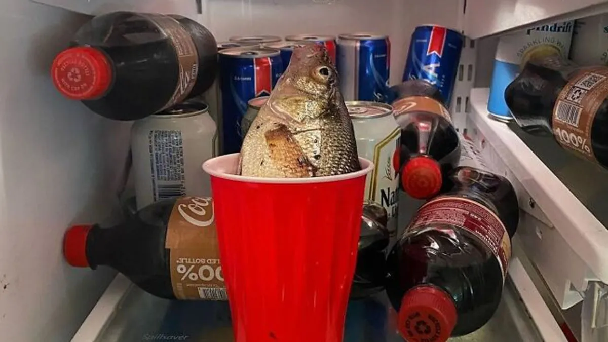 ‘Dude Fridges’: 50 Hilariously Unhinged Fridges That Define ‘Chaotic’