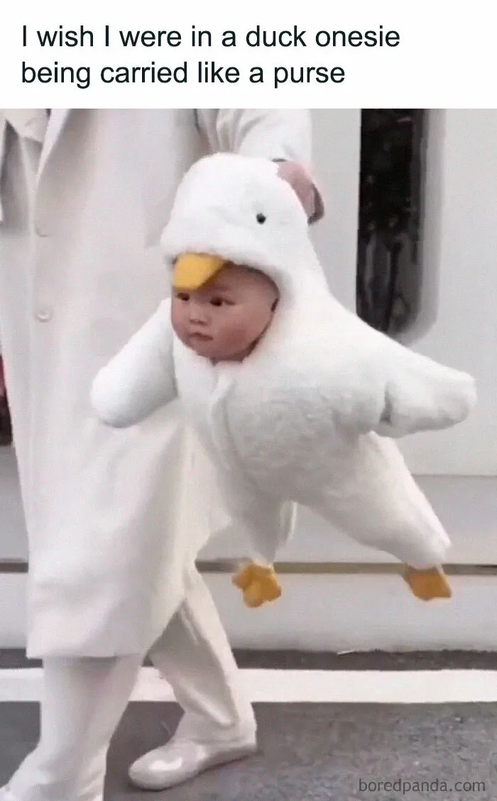 ‘Unbruthered’: 40 Totally Random Memes That Escalate Quickly