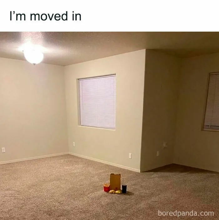 ‘Unbruthered’: 40 Totally Random Memes That Escalate Quickly