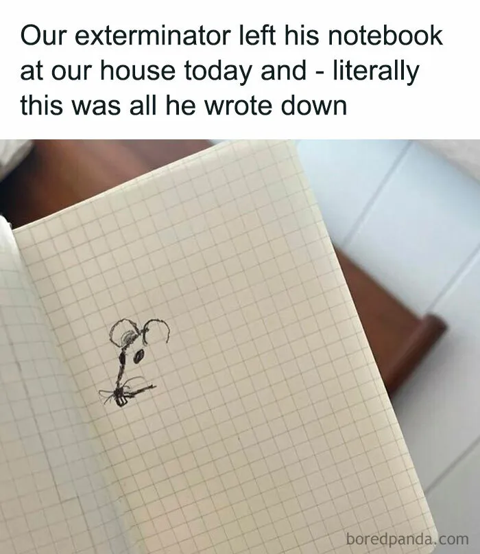 ‘Unbruthered’: 40 Totally Random Memes That Escalate Quickly