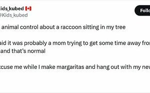 50 Mind-Numbing Memes For Anyone Who Needs A Good Laugh Today (New Pics)