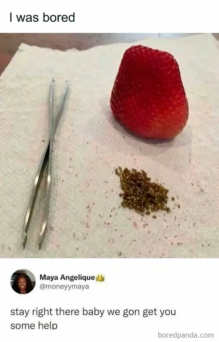 50 Random Memes That Have No Business Being This Funny