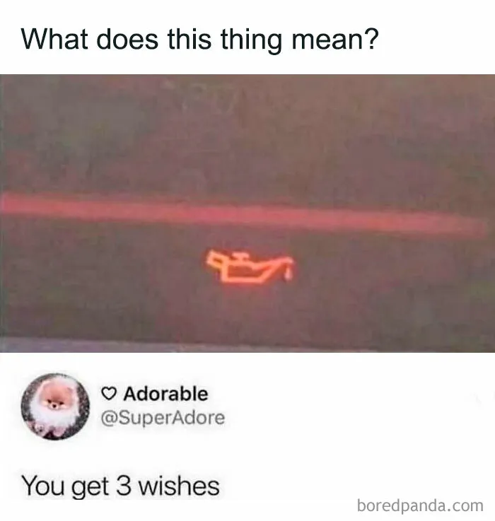 50 Random Memes That Have No Business Being This Funny