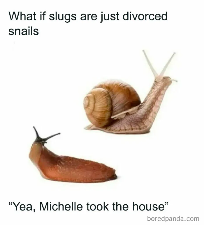 50 Random Memes That Have No Business Being This Funny