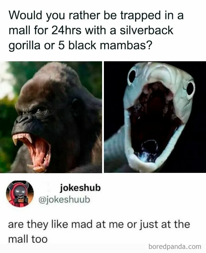 50 Random Memes That Have No Business Being This Funny