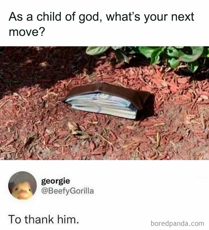 50 Random Memes That Have No Business Being This Funny