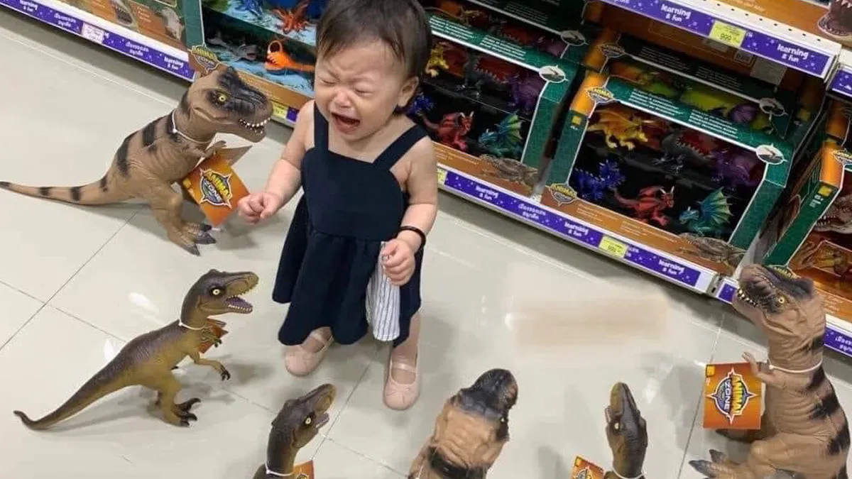 50 Random Memes That Have No Business Being This Funny