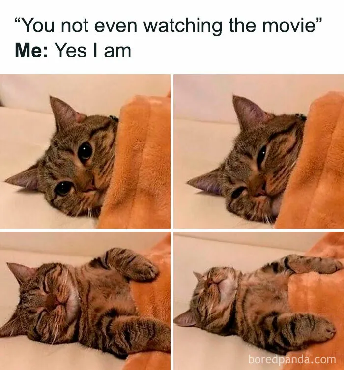 30 Funny And Relatable Posts And Memes About Navigating The World As A Woman