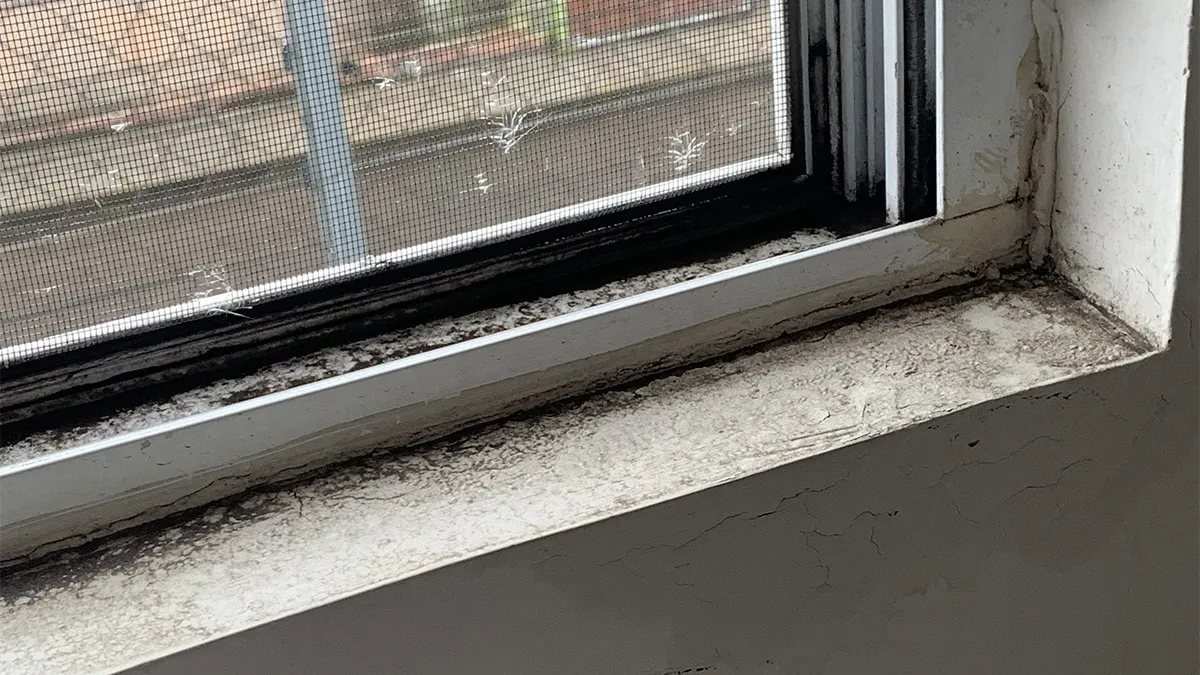 Man Spends A Week In Long-Distance GF’s Family House, Is Shocked By The Filth