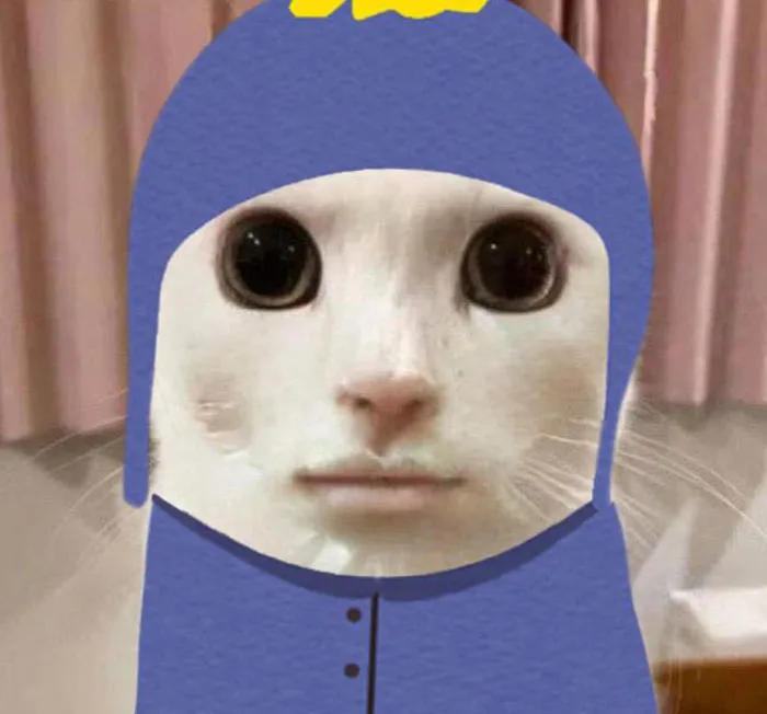 Costume Cat