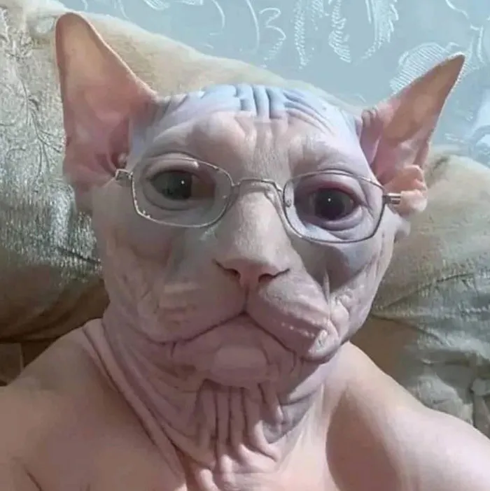 An Ancient Sphynx