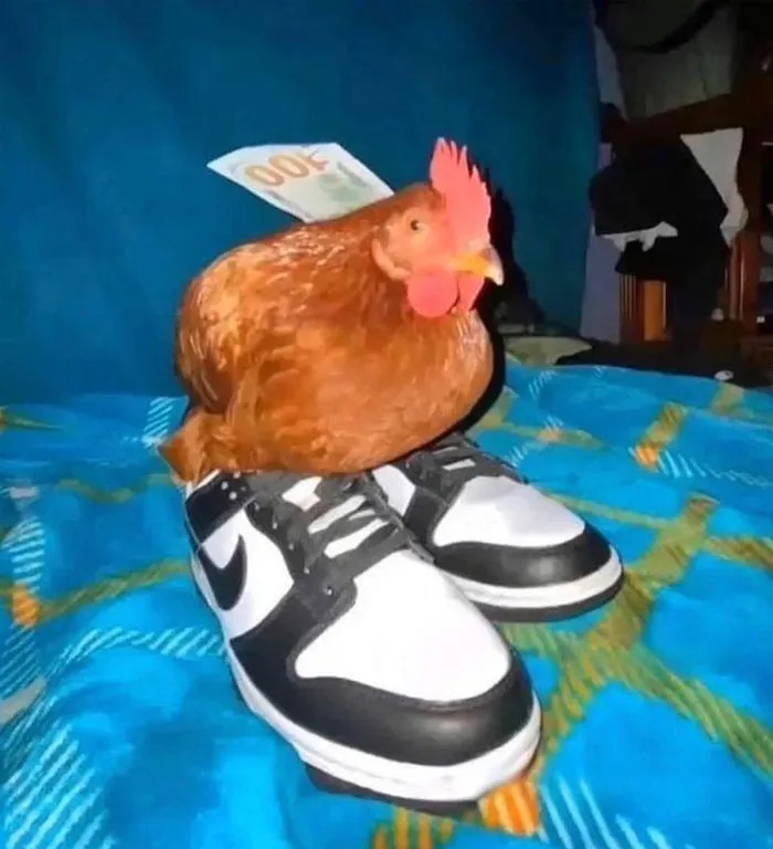 Nike Nest Egg