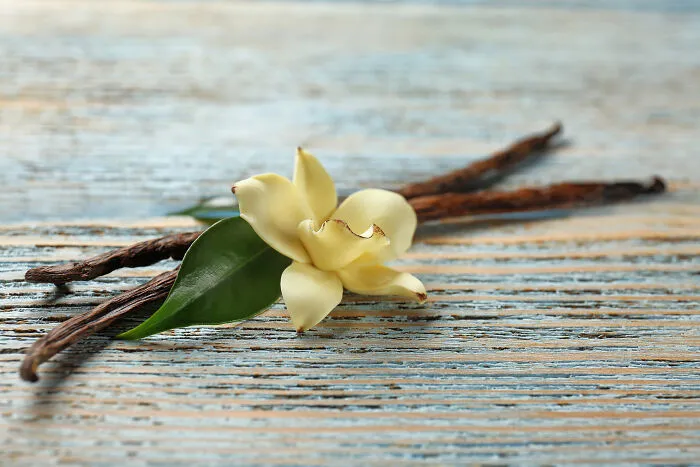 35 Folks Shared What Smells They Consider To Be The Scent Of Happiness