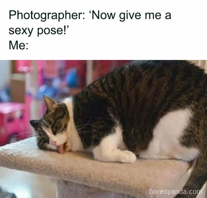 ‘Women’s Humor’: 50 Hilarious Posts For Those That Need A Little Pick-Me-Up (New Pics)