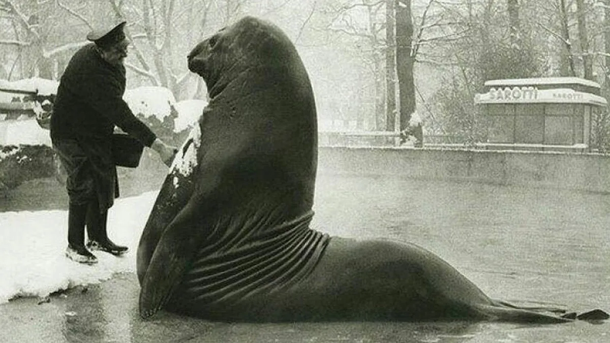 This Instagram Account Shares Historical Pics In Their Original Form, And These 40 Are Just Wow