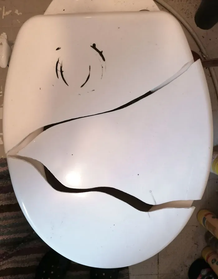 Cracked toilet seat showing a home improvement fail.