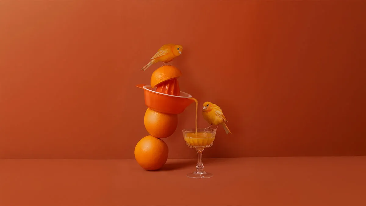 25 Striking Photos From AAP Magazine’s 43rd Contest That Celebrate Vibrant Color