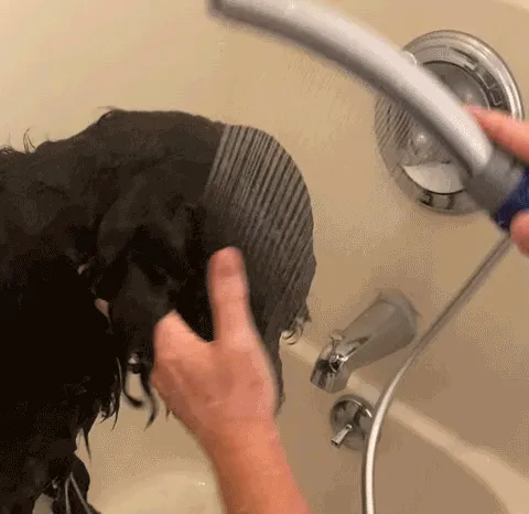 Bath Time Getting A Little Too Wild? Make Rinsing Off Your Pup A Breeze With A Handy <a Style="Display:inline;" Href="Https://Www.amazon.com/Waterpik-Ppr-252e-Sprayer-Attachment-Cleaning/Dp/B088gtz57s?ie=utf8&linkcode=ll1&tag=bponion-20&linkid=3664139b139f8289ea716b03e82725d7&language=en_us&ref_=as_li_ss_tl" Target="_blank"><span Style="Font: Inherit; Color: #d74b1f;"> Doggy Shower Attachment</Span>