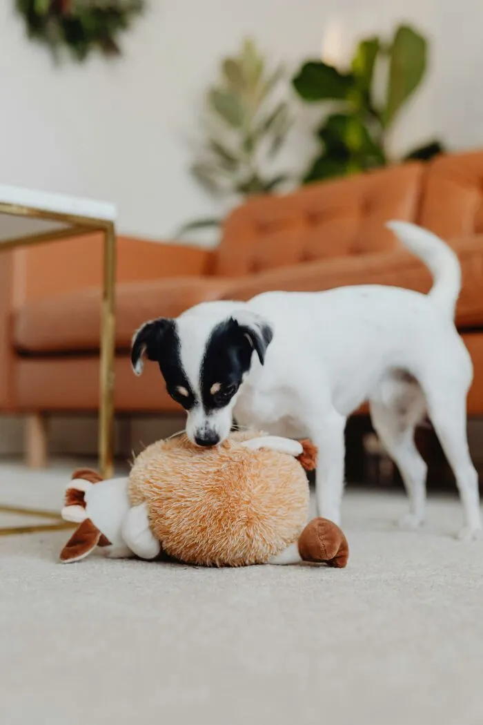 “Technically Saves You Money”: 30 Money-Saving Tips Ranging From Helpful To Weird