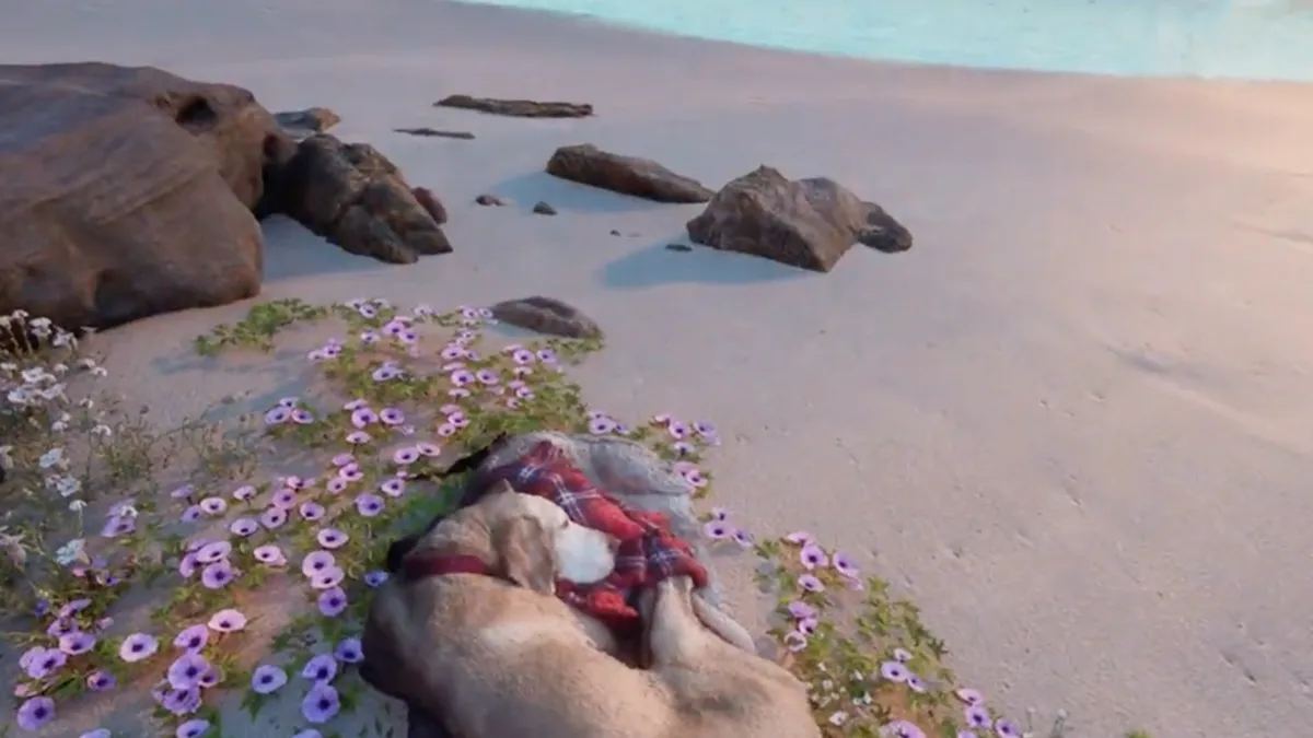 This Man Found A Beautiful Way To Relive The Final Memory With His Dog Who Passed Away