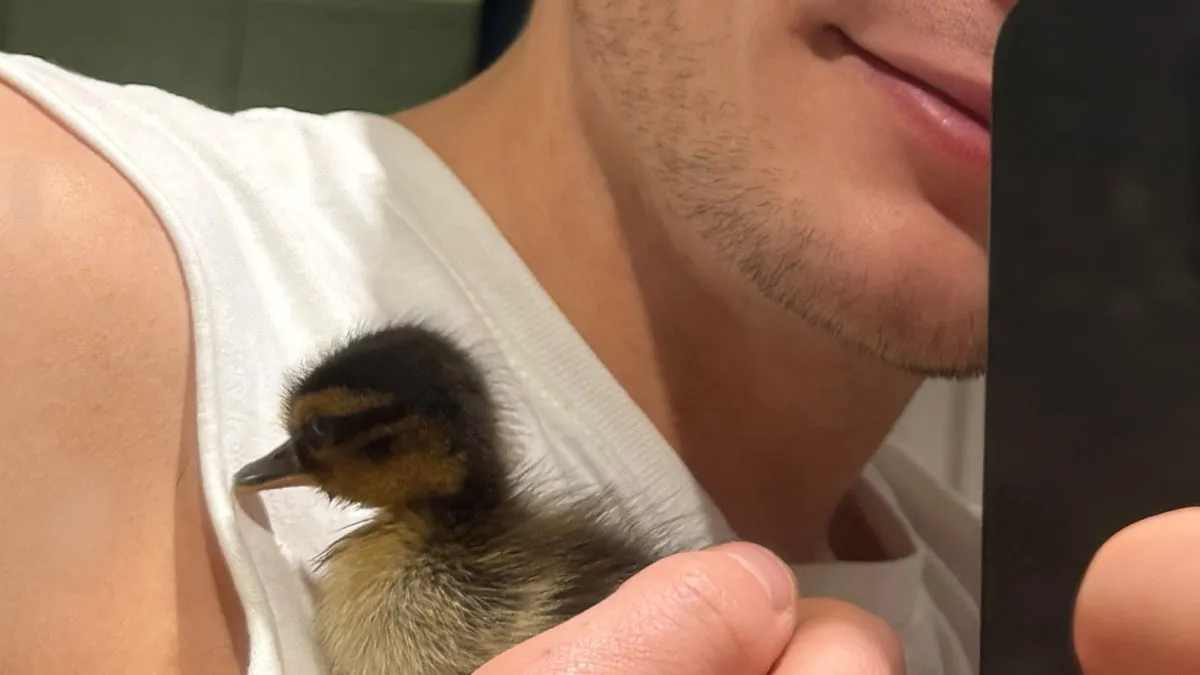 Man Found An Abandoned Egg And Decided To Take It Home, Hatching A New Friendship