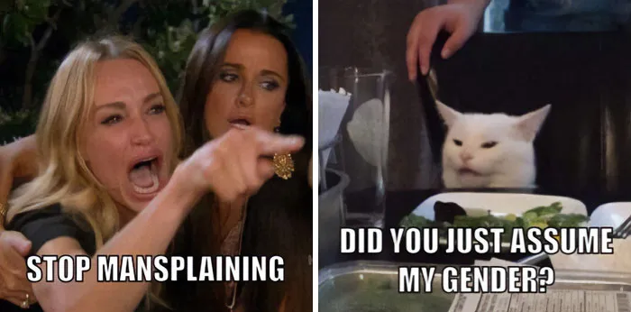 “Did You Just Assume My Gender?”