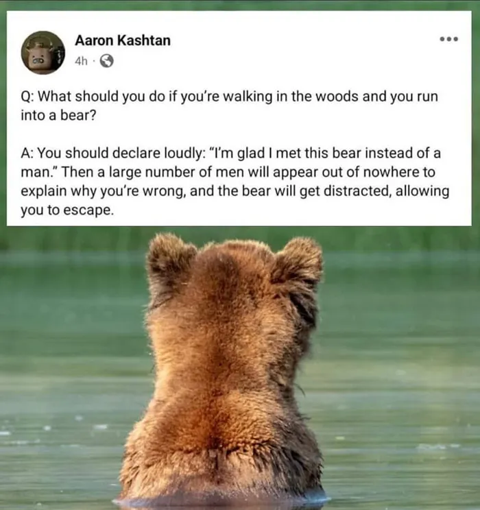 “The Bear Will Get Distracted”
